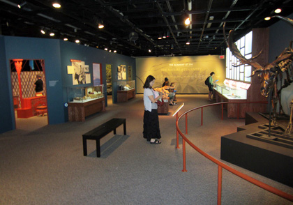 Exhibit and graphic design of major year-long exhibit
