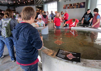 Interpretive exhibits and interior and exterior wayfinding